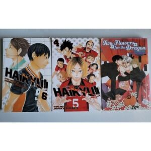 Two Flowers for the Dragon, Vol. 6 Paperback Kusakawa, Nari / Haikyu #4 #6 Manga